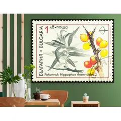 TAYRONA STORE - Cuadro Lienzo Para Comedor Bodegon Fruta Estampilla 073 160x120cm