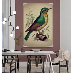 TAYRONA STORE - Cuadro En Lienzo Para Comedor Pintura Pajaros 013 35x50cm