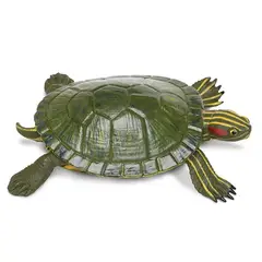 SAFARI - Figura Coleccionable Tortuga Jicotea Elegante