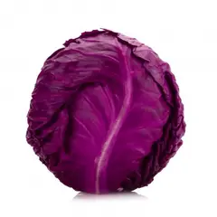 GENERICO - Semillas Repollo Morado Cultivo Culinario Jardin Hortaliza