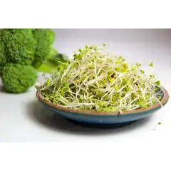 GENERICO - Semillas Brocoli Raab Gastronomia Vegano Vegetal Germinado