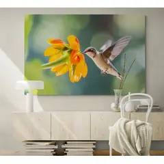 TAYRONA STORE - Cuadro En Lienzo Para La Sala Colibri 026 50x35cm