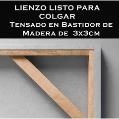 TAYRONA STORE - Cuadro En Lienzo Para La Sala Geisha 40x30cm