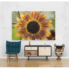 TAYRONA STORE - Cuadro En Lienzo Para La Sala Flores 426 100x70cm
