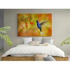 TAYRONA STORE - Cuadro En Lienzo Para Habitaciones Colibri 029 120x80cm