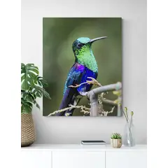 TAYRONA STORE - Cuadro En Lienzo Para Habitaciones Colibri 042 100x125cm