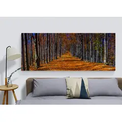 TAYRONA STORE - Cuadro Lienzo Para Habitaciones Camino Bosque 009 175x70cm