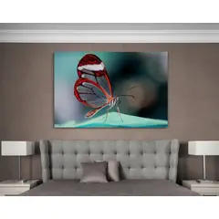 TAYRONA STORE - Cuadro En Lienzo Para Habitaciones Mariposas 206 100x70cm