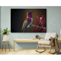 TAYRONA STORE - Cuadro En Lienzo Para Habitaciones Colibri 125 50x35cm