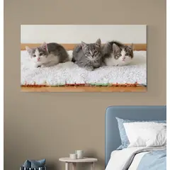 TAYRONA STORE - Cuadro En Lienzo Para Habitaciones Gato 186 75x40cm