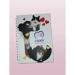 GENERICO - CUADERNO ARGOLLADO LOCKY HUELLITAS DE AMOR REF 5 80 HOJAS