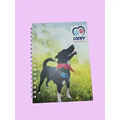 GENERICO - CUADERNO ARGOLLADO LOCKY HUELLITAS DE AMOR REF 4 80 HOJAS
