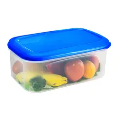 POLIMES - Recipiente Rectangular N.4 de 5 L CA50T Azul