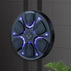 GENERICO - Equipo Entrenamiento Boxeo Con Música Y Luces.