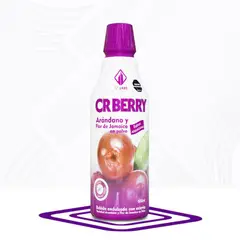 GENERICO - CRANBERRY LIQUIDO GRANBERRY JARABE 500 ml NT LABS