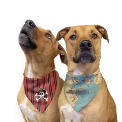 GENERICO - Pañoleta Perro doble faz L - Pirata