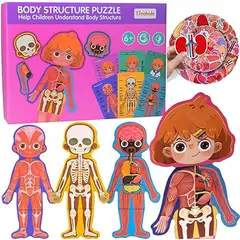 GENERICO - Rompecabezas Magnetico Del Cuerpo Humano Didactico Niña