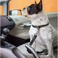 GENERICO - Cinturon de seguridad de carro para mascota