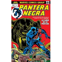 PANINI - Pantera Negra: La Furia De La Pantera (t.d)