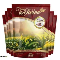 VIDA DIVINA - Te Divina Original x 3 Sobres