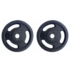 GENERICO - PAR DISCOS 2.5 KG 1 PULGADA (TOTAL 5 KG)