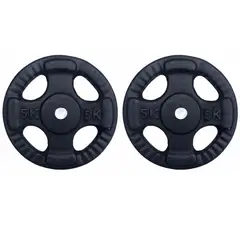 GENERICO - PAR DISCOS 5 KG 1 PULGADA (TOTAL 10 KG)