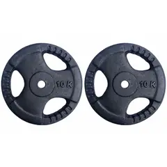 GENERICO - PAR DISCOS 10 KG 1 PULGADA (TOTAL 20 KG)