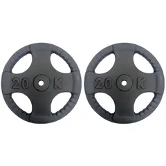 GENERICO - PAR DISCOS 20 KG 1 PULGADA (TOTAL 40 KG)