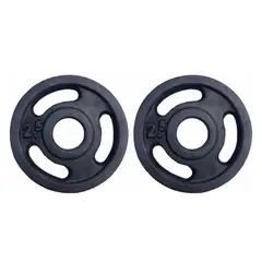 GENERICO - PAR DISCOS 2.5 KG 2 PULGADAS (TOTAL 5 KG) OLIMPICO