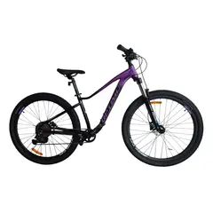 OPTIMUS - Bicicleta koruna con shimano cues-