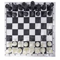 GENERICO - Ajedrez Juego De Mesa Plegable 40 Cm X 40 Cm Con Bolsa.