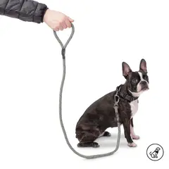 TOTTO - Correa para Perro Sencilla Nolan Verde