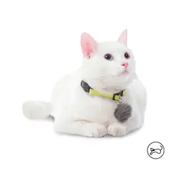 TOTTO - Collar ajustable Meow para gato