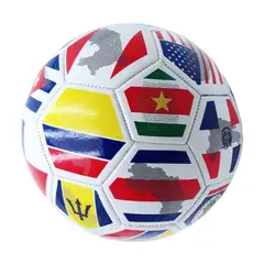 WILSON - Balón de Fútbol Recreacional Copa América 2024 No.5