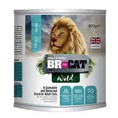 BR - Alimento Lata For Cat Trucha X 400g