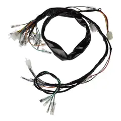GENERICO - Instalacion Electrica Susuki Ax100 Ramal
