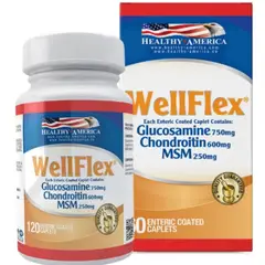 HEALTHY AMERICA - WellFlex Glucosamina 120 Caplets -