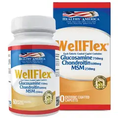 HEALTHY AMERICA - WellFlex Glucosamina 60 Caplets -