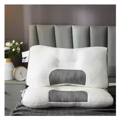HOME - Set 2 Almohadas Premium Alta Gama Acolchadas 60x40.