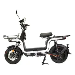 PARKLAND - Motocicleta Eléctrica 1500 Watts U1 L3