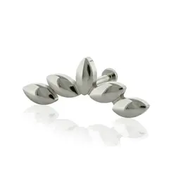 AGHA JEWELRY - Titanio Arete piercing Hojas de Olivo para lóbulo