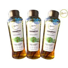 ANYELUZ - Shampoo de romero x3