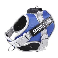 GENERICO - Arnes Perro Service Dog Azul Talla L