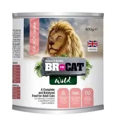 BR - Alimento Lata For Cat Salmon X 400g