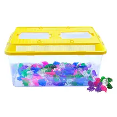 AM MASCOTAS - Acuario Mediano con Conchas