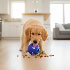 AM MASCOTAS - Pelota de Entrenamiento Perro Gato M
