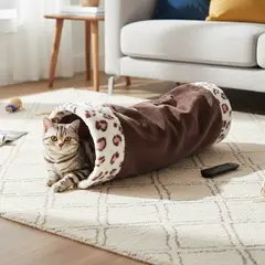 AM MASCOTAS - Gimnasio Túnel Ruidoso