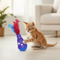 AM MASCOTAS - Gato Loco