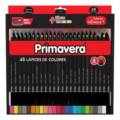 PRIMAVERA - Colores Black X 48 Unid