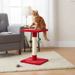 AM MASCOTAS - Gimnasio Gato Una Torre